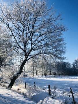 Winterlandschaft in Rotenburg